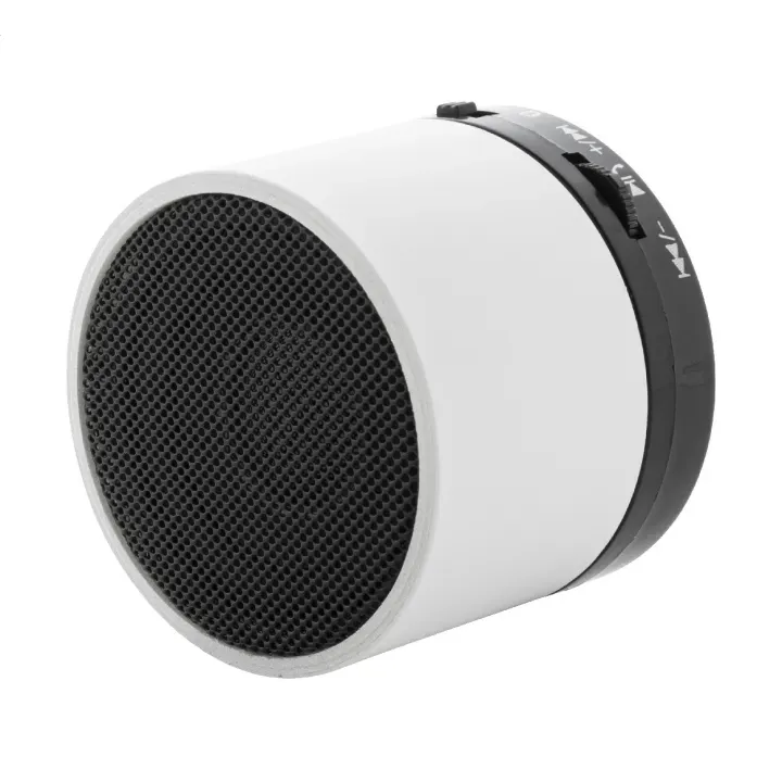 RABS wireless speaker - AP864111 (ANDA#01)